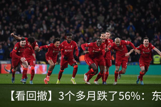 【看回撤】3个多月跌了56%：东方阿尔法基金百万持有人何去何从？